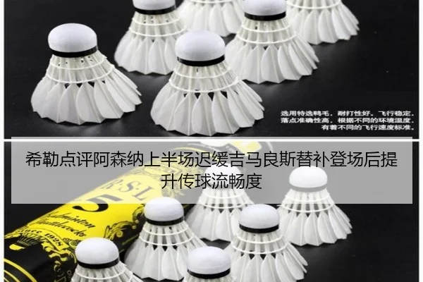 img_1791921502310_2048_0_557.jpg